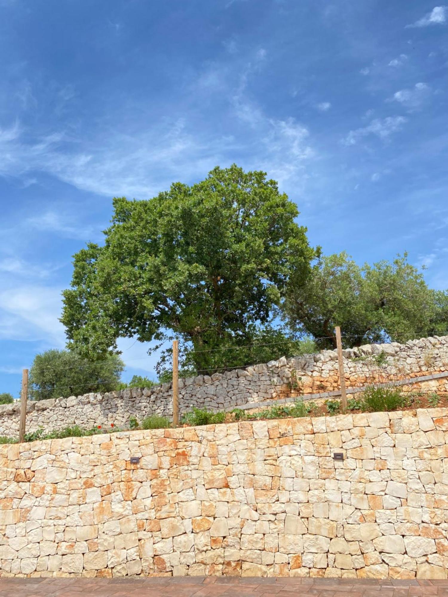 Trulli Mbs By Apulia Hospitality Apartman Locorotondo Kültér fotó
