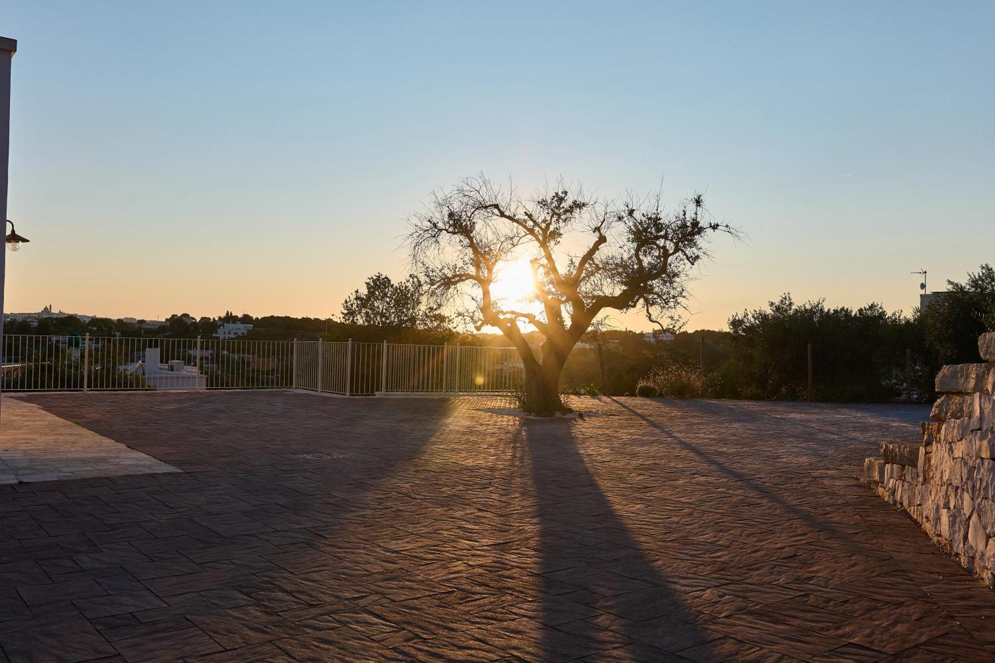 Trulli Mbs By Apulia Hospitality Apartman Locorotondo Kültér fotó