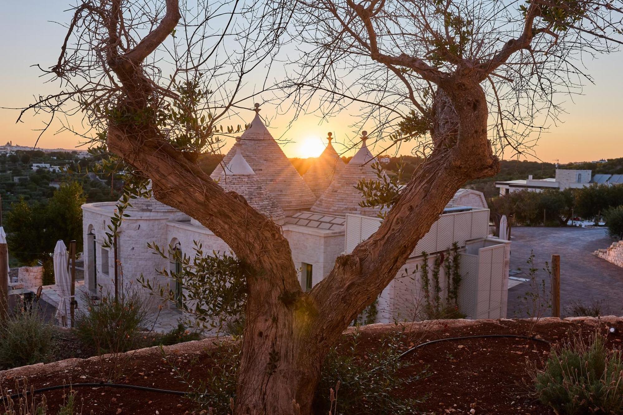 Trulli Mbs By Apulia Hospitality Apartman Locorotondo Kültér fotó